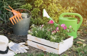 Beginner Friendly Approach